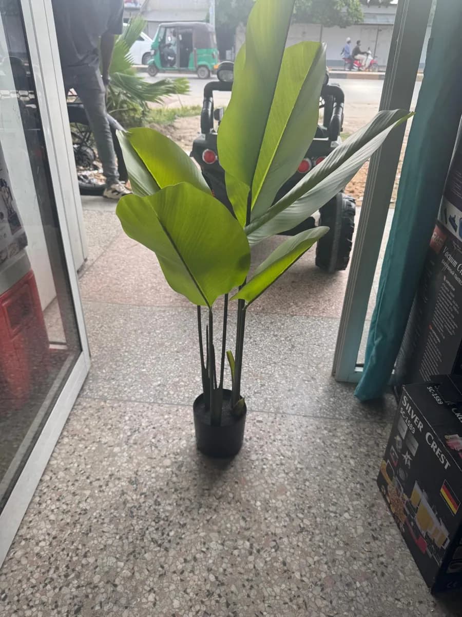 Imported Product 18